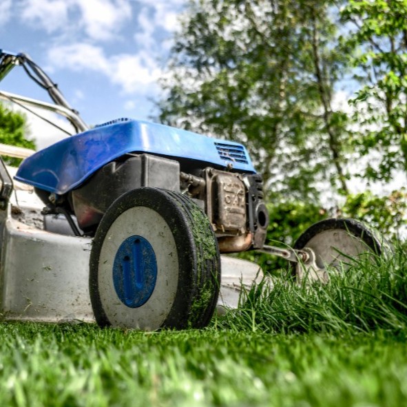 lawn-care-services
