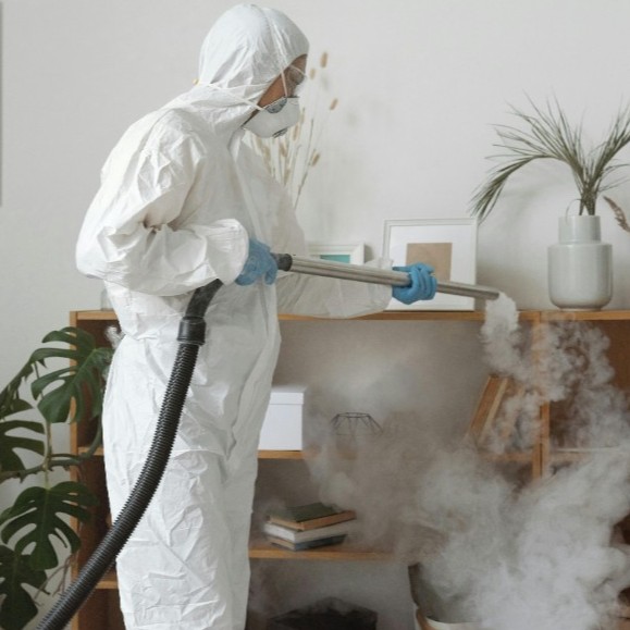 pest-and-mould-control